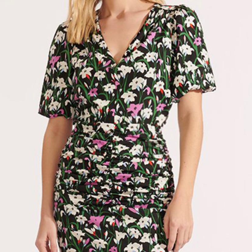 Veronica Beard Janis Dress